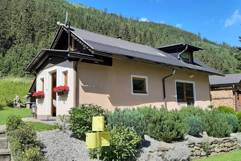 Haus Fritz - Erholung In Den Bergen Apartment Donnersbachwald Exterior photo
